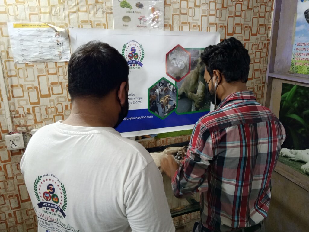 "Wounded & Alone-Stray Souls Need You in Pakistan"