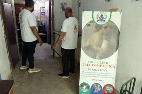 "Wounded & Alone-Stray Souls Need You in Pakistan"
