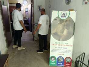 "Wounded & Alone-Stray Souls Need You in Pakistan"