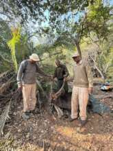 Waterbuck Snare Rescue