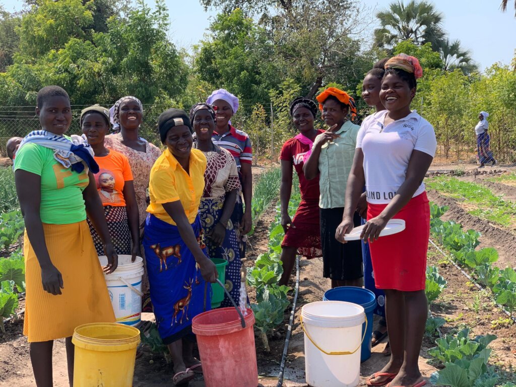 Community Health Through Local Nutrition Gardens