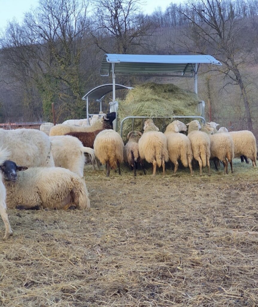Expansion refuge project & maintenance of animals.