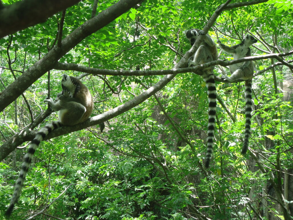 Halt Poverty with Skills Development