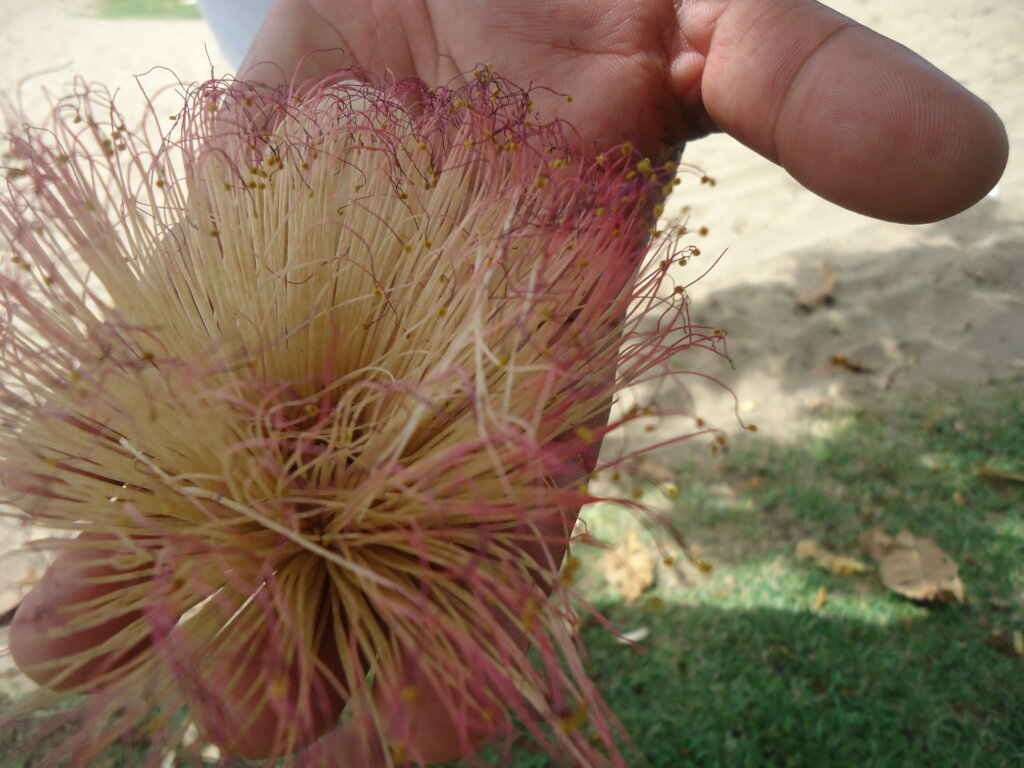 Halt Poverty with Skills Development