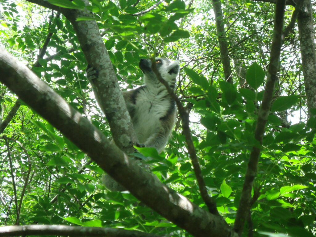 Halt Poverty with Skills Development