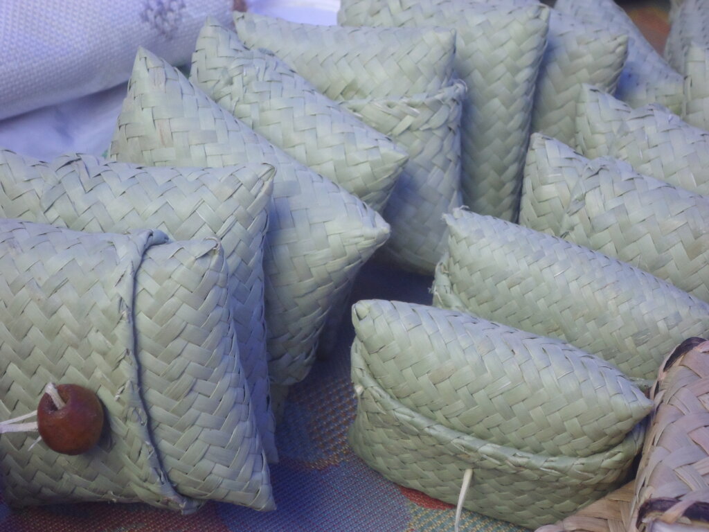 Halt Poverty with Skills Development