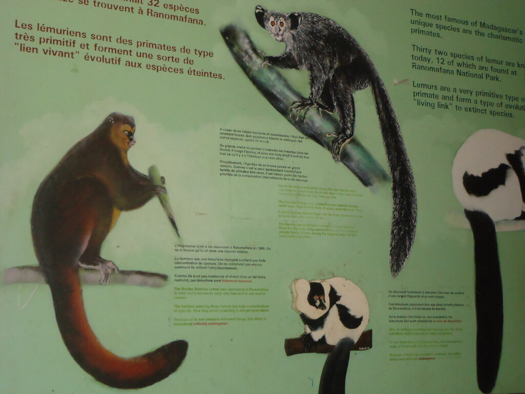 Halt Poverty with Skills Development