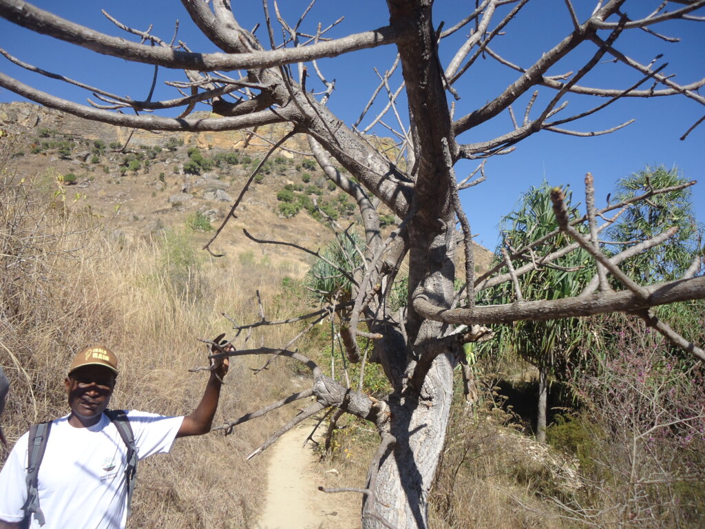 Halt Poverty with Skills Development