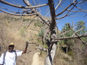 Halt Poverty with Skills Development