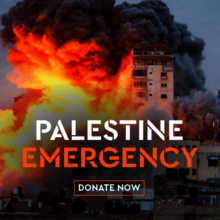 Emergency Relief for Palestine