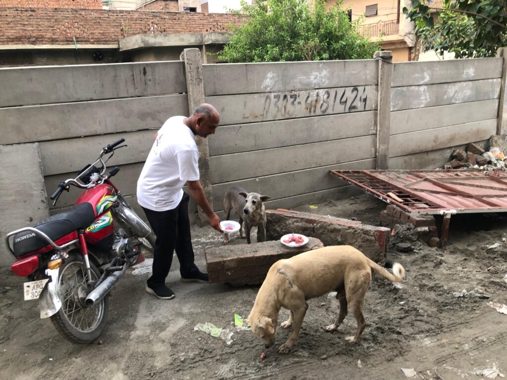 "Paws of Hope: Saving Lives from the Streets"