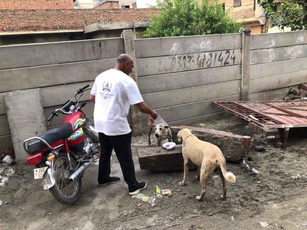 "Paws of Hope: Saving Lives from the Streets"