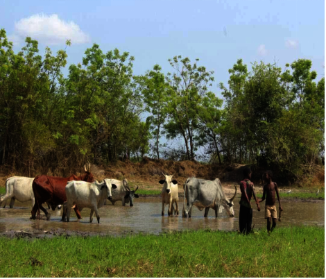 Sustainable Safe Water, Transformed Rural Lives.