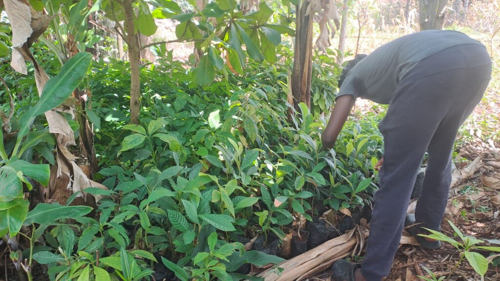 Restoring Riparian Lands & Improving Livelihoods