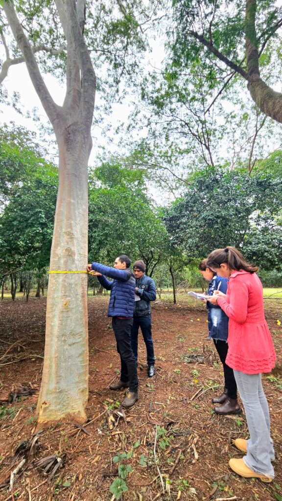 Support Young People to Build Their Future