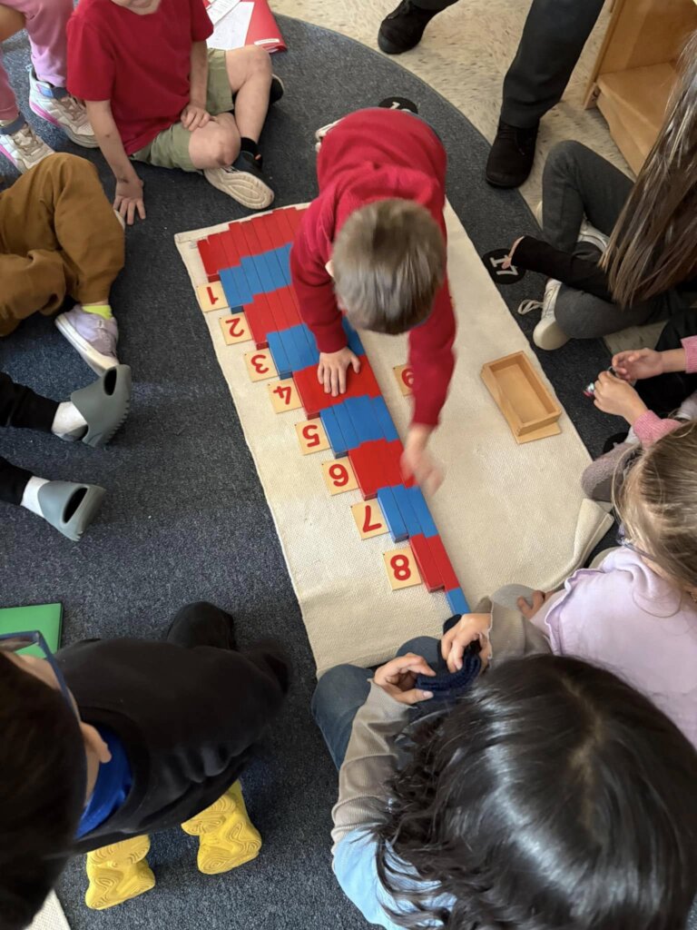 Collaborating on math concepts
