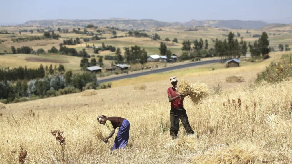 Green Futures: Empowering Ethiopian Youth