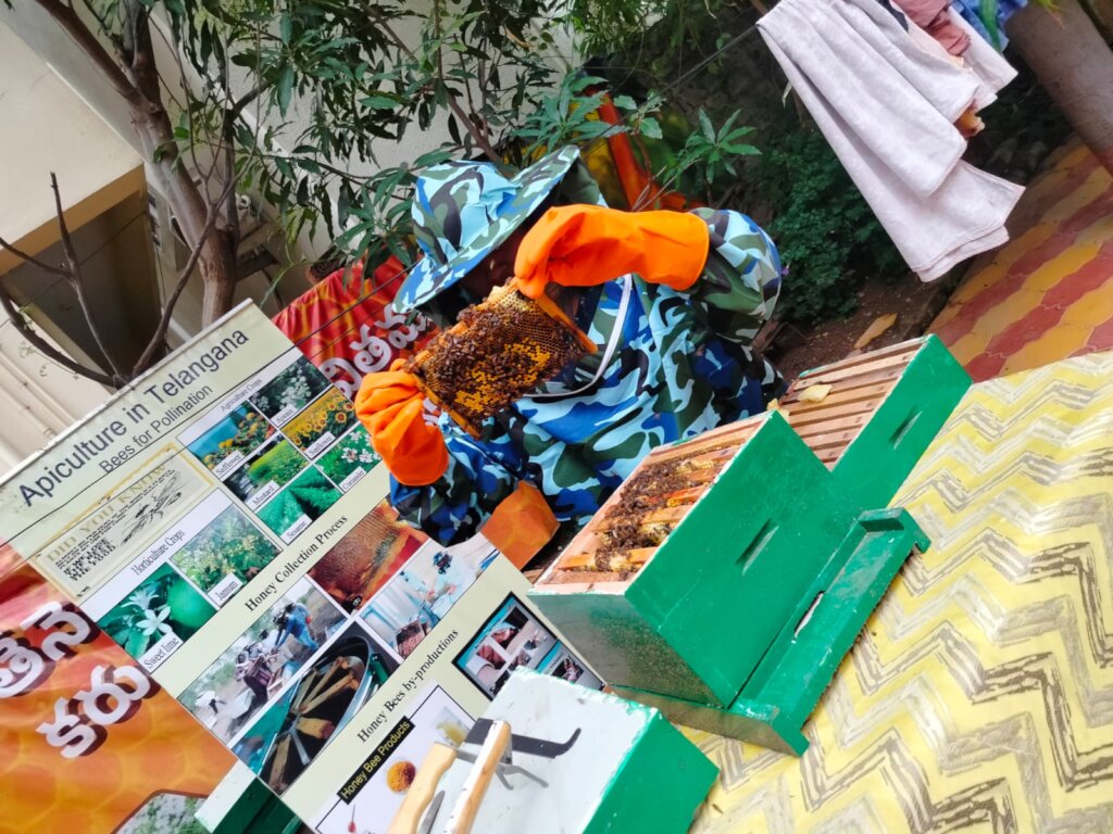 First-hand honey harvesting & beekeeping training