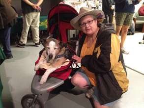 Teresa and her 14 year-old hound dog Sophia