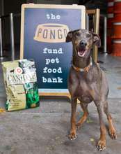The Pongo Fund Pet Food Bank