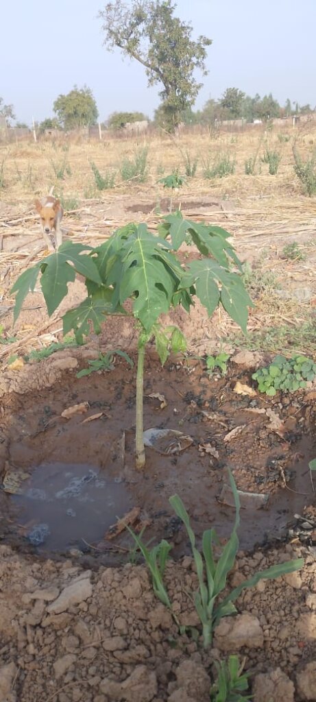 2 Water Towers & a Greenhouse for women in Kokelen