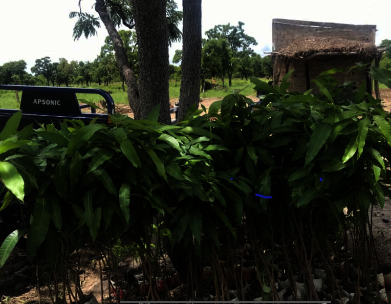 2 Water Towers & a Greenhouse for women in Kokelen