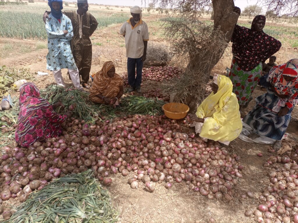 2 Water Towers & a Greenhouse for women in Kokelen