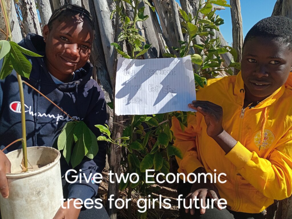 Two Economic Trees at a time for 1000 houses