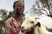 Give a Goat: Help 2,000 Ethiopian Women