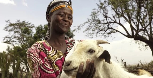 Give a Goat: Help 2,000 Ethiopian Women