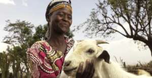 Give a Goat: Help 2,000 Ethiopian Women