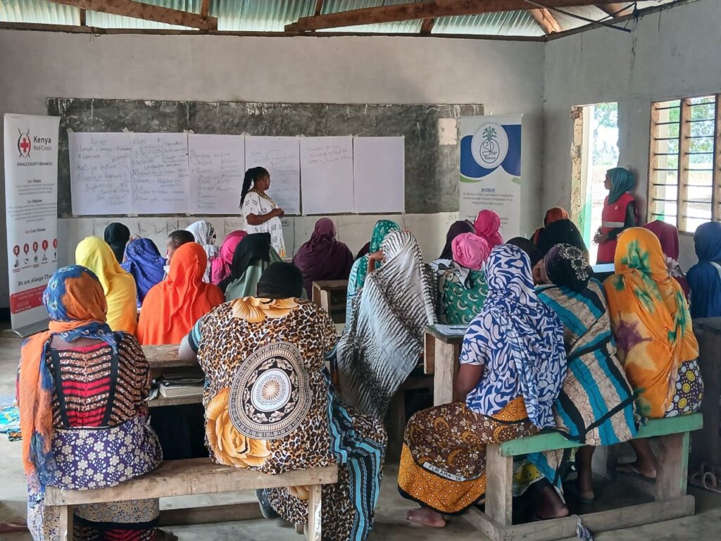 Purchase fuel-efficient stoves for 30 Kenyan women