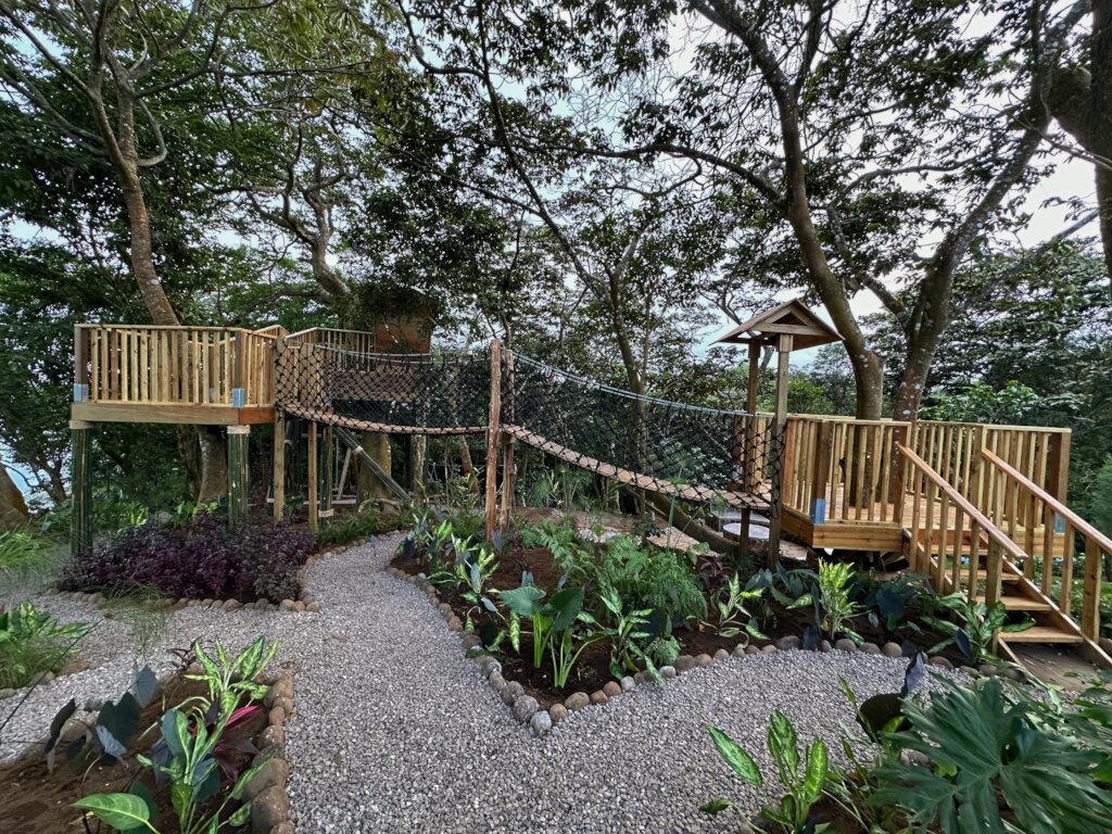 Roza and Ali's Love in Action