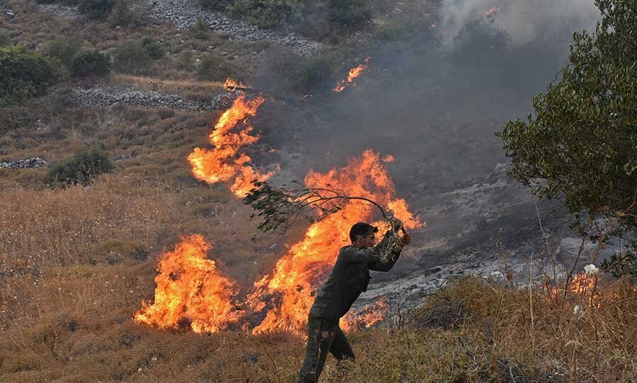 Green Again: Reforesting Syria's Lands