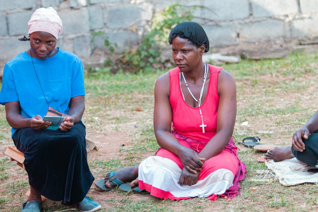 Help One Woman start POS or Agric Business for $20