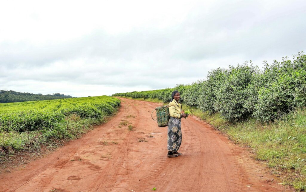 Boost Food Security for 500 Rural Women in Nigeria