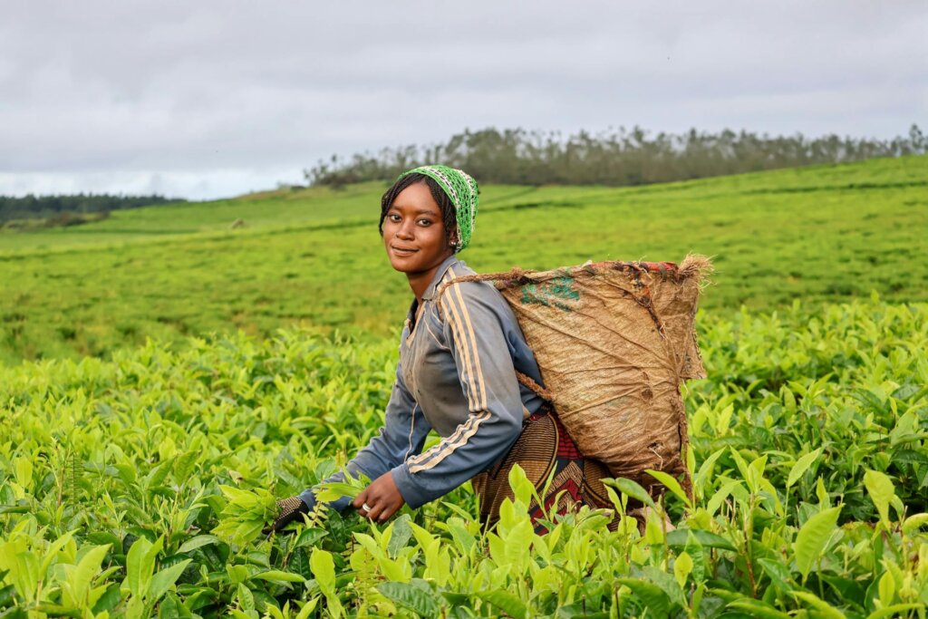 Boost Food Security for 500 Rural Women in Nigeria