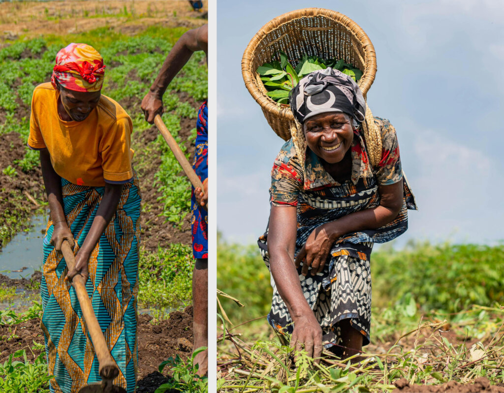 Boost Food Security for 500 Rural Women in Nigeria