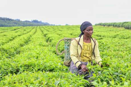 Boost Food Security for 500 Rural Women in Nigeria