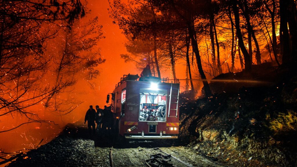 With Syria: Relief for Wildfire Victims & Heroes