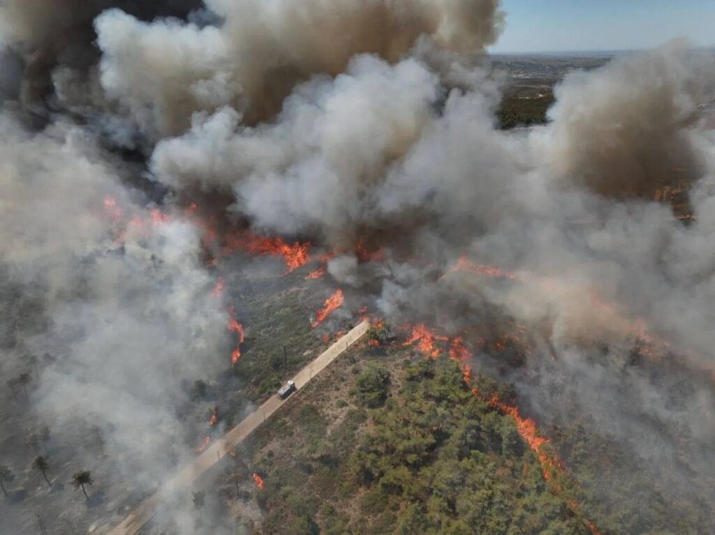 With Syria: Relief for Wildfire Victims & Heroes