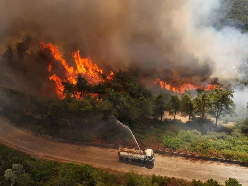 With Syria: Relief for Wildfire Victims & Heroes