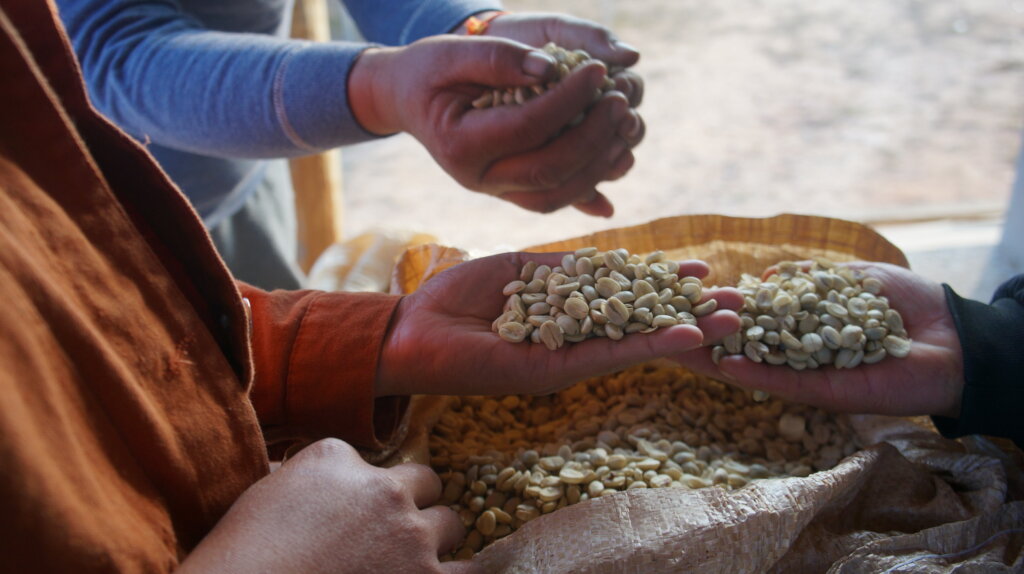 Support Sustainable Coffee Farming in Laos