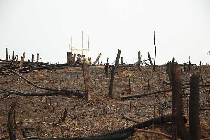 Support Sustainable Coffee Farming in Laos