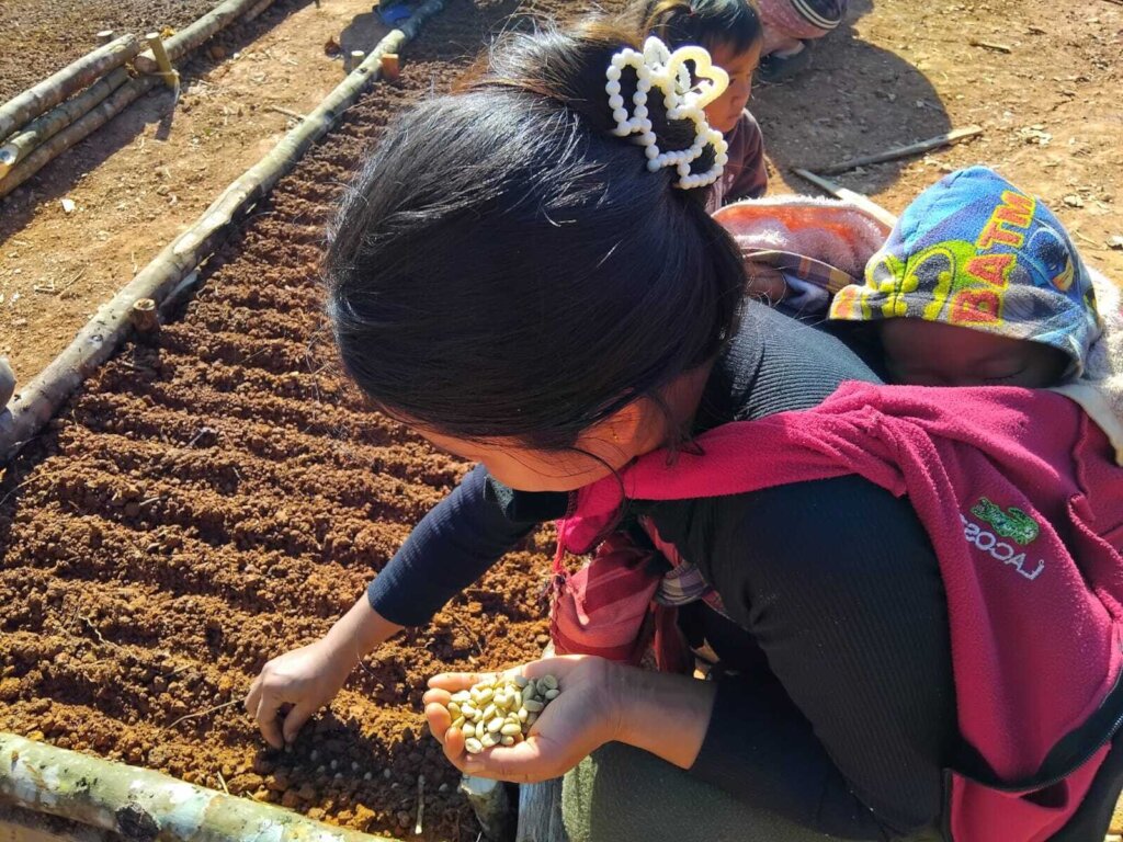 Support Sustainable Coffee Farming in Laos