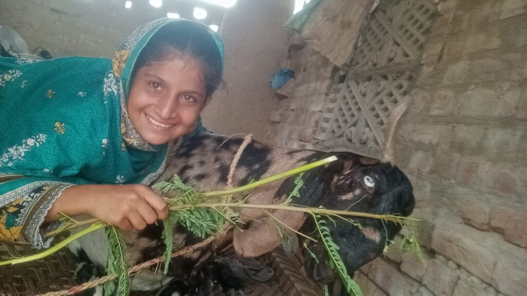 Gift a Goat, Grow Hope