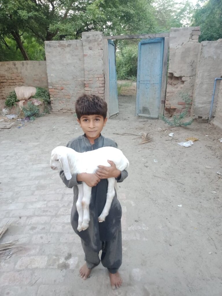 Gift a Goat, Grow Hope