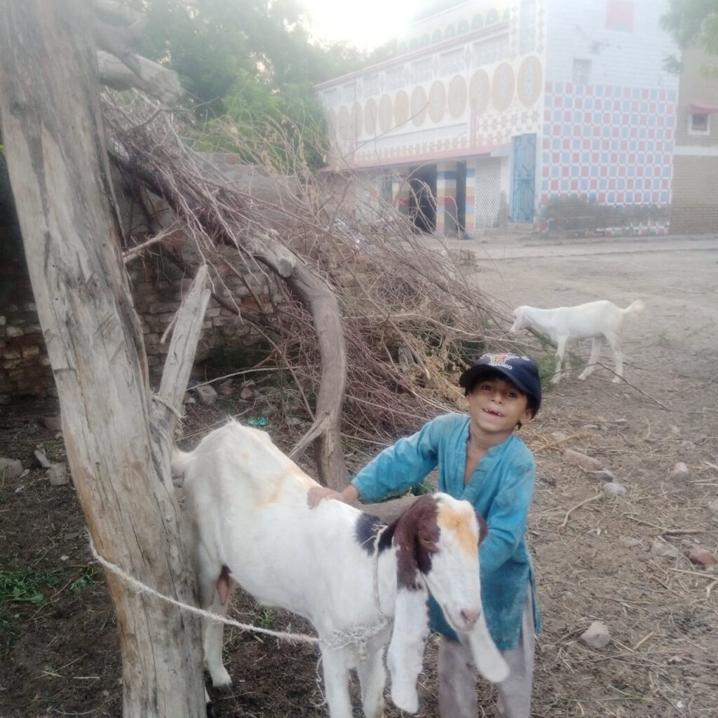 Gift a Goat, Grow Hope
