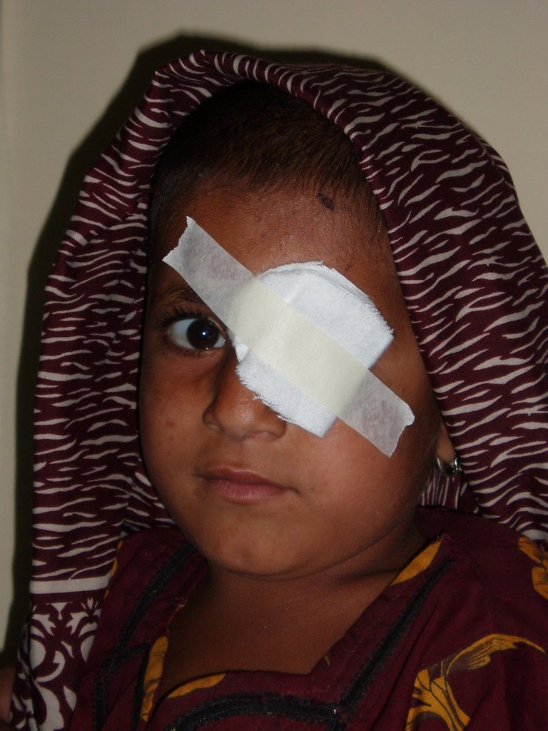 Even $1 Can Help Gift Sight to 8 People Every Day!