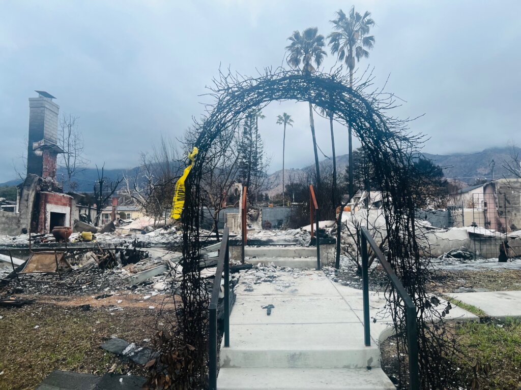 Wellness days after the dark L.A fires.